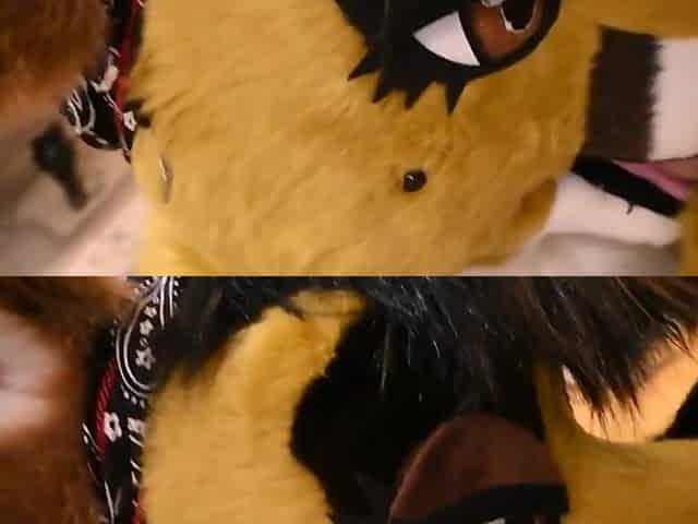 Fur Oral sex
