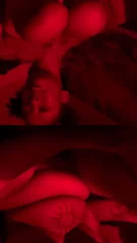 Ebony Girl Solo Masturbation and Dildo Fun