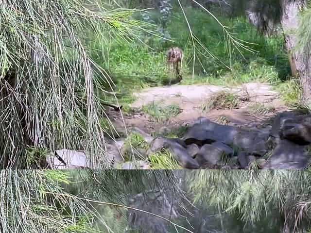 Public Nude Adventures Flooding River Handjob