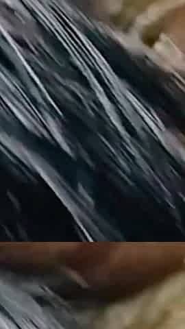 Nituaunty Homemade Fucking with Friend Son