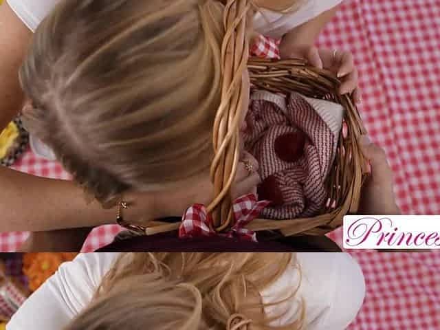 Most good Picnic Basket Scenes Princess Cum Collection