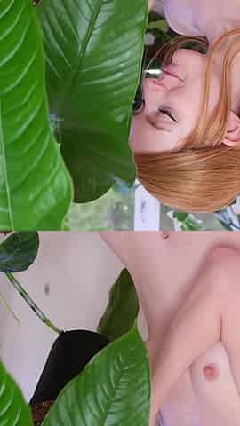 Nude Plant Haul
