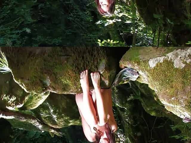 In the Forest with Two Hikers