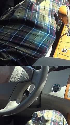 Big Black Cock Backseat Quickie