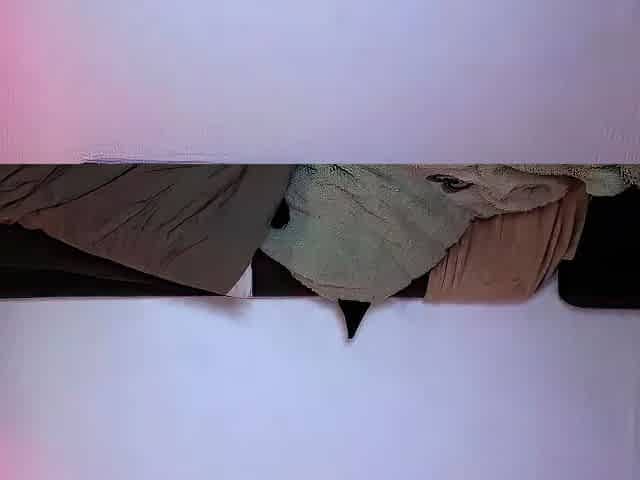 Brunette solo masturbation on webcam