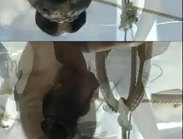 Superb ebony model gets weenie deeply inside moist vagina after baking