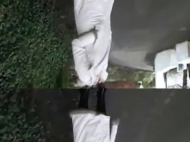 Stacy's Public Indecent Exposure Caught on Tape