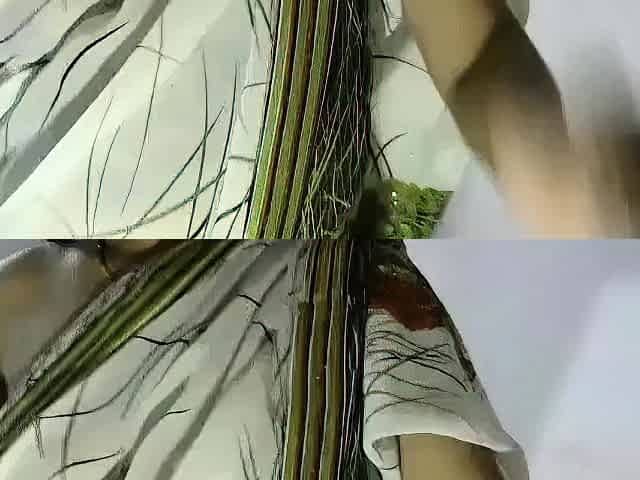 Indian Bhabhi's Steamy Webcam Show in a Saree
