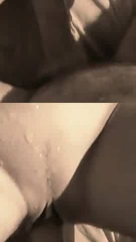 Maldives Sperm Horns