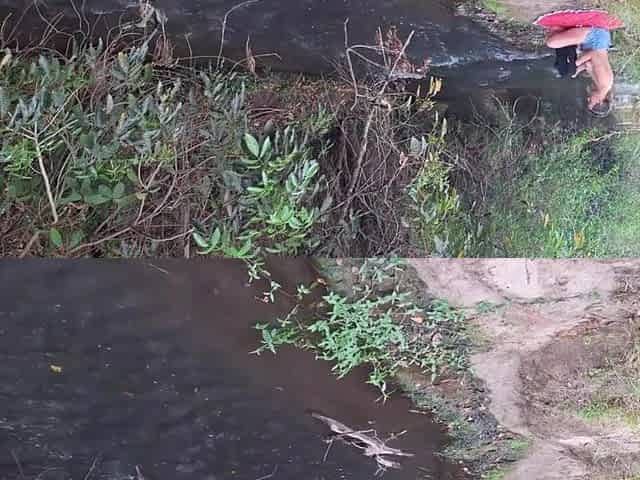 Strangers are caught having sex at the waterfall.