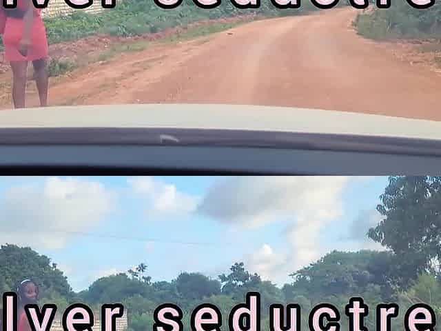 A car lift ended up to a roadside sex
