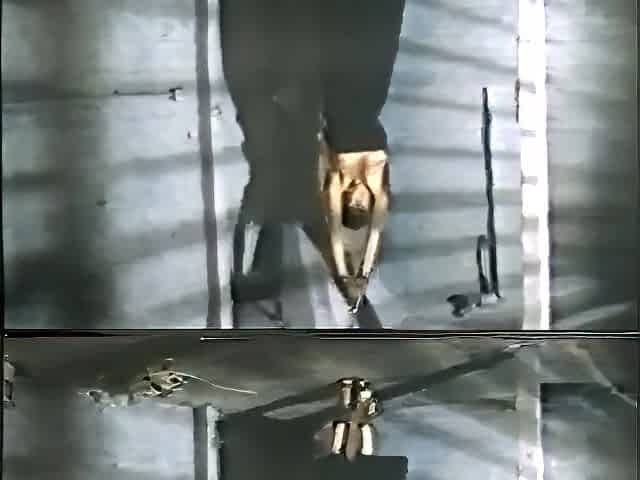 Punished 6