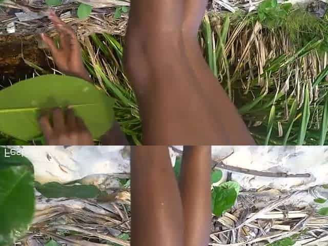 Slender Afro tribe beauty cooking medecin for her grandmother undressed in forrest