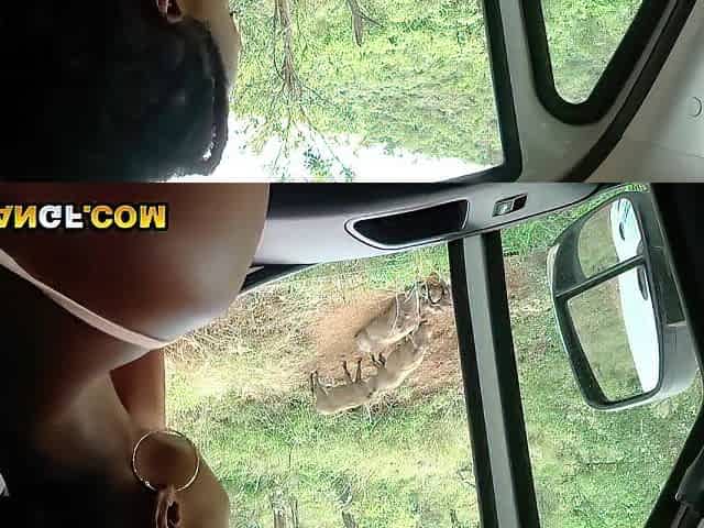 Slutty Black GF Demands To Suck My Wang In The Centre of Safari Travel
