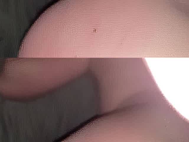 Amelia takes lengthy shlong in her booty and has climax