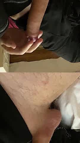 See me masturbate my wang in daybed and make me cum