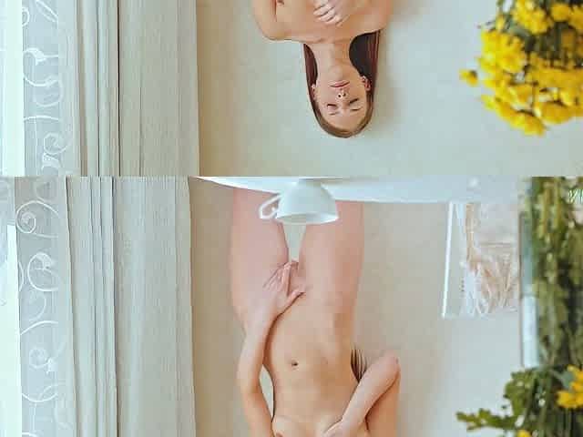 Taylor Perfect Morning - Taylor Krystal
