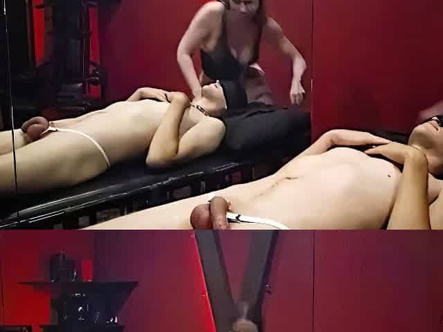 Shy Shy - Feeding this sub pussy and then his cum