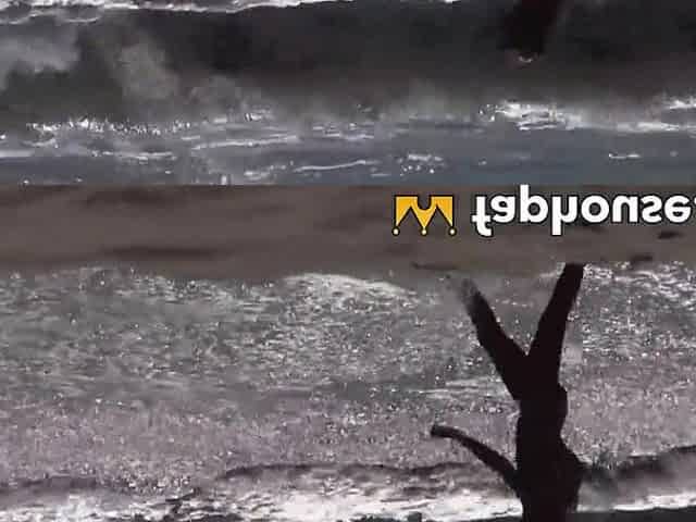 Perverted whore thrilling porn video