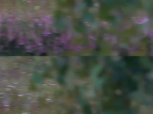 Screwed in the throat on the edge of the forest