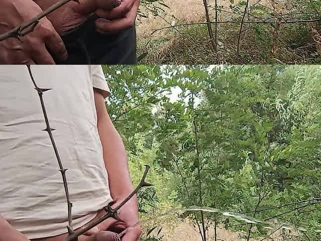 Pissing and masturbating in the forest near the highway