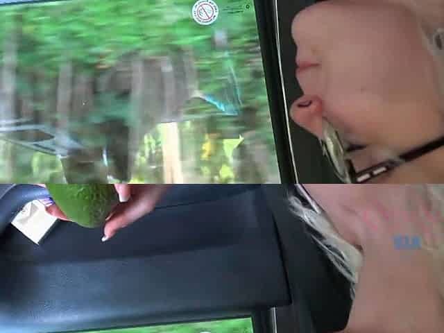 Driving Around Sucking Cock