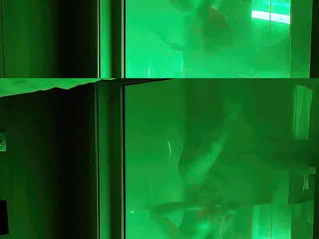 Erotic shower