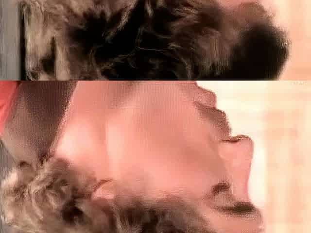 Jade Pussycat Classic Porno