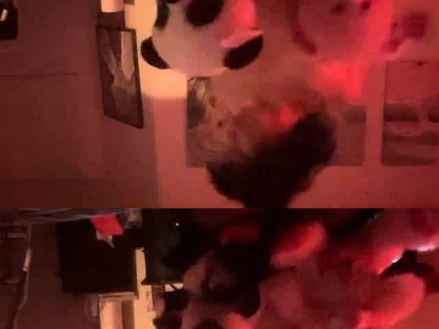 Amateur Hidden Cam with Dildo Wives