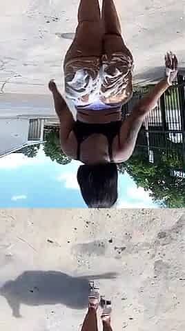 Synsational Compilation