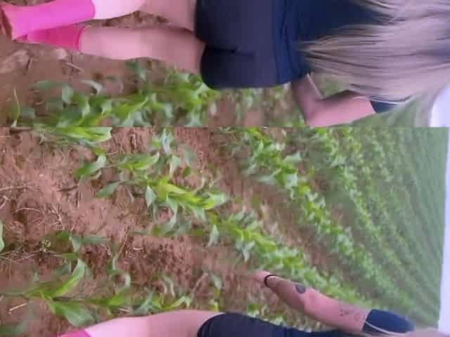 On the hot blonde's farm she looks for a snake that