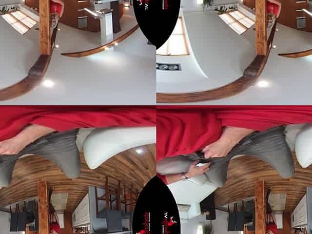 Man Hungry Big Tits Bit Ass Milf Striptease - Virtual Reality