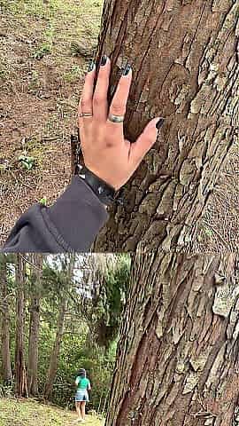 Breasty cutie caught masturbating in the woods