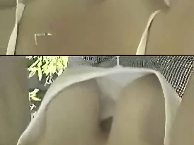 Mature downblouse in garden