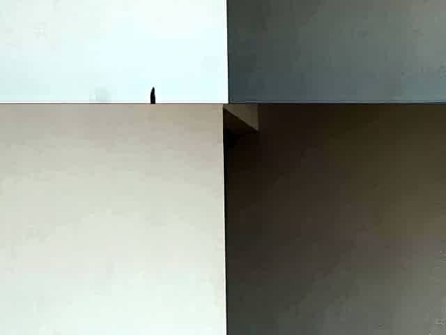 Homemade amateur teen blowjob