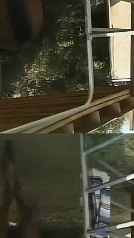 A Beautiful Young Blair Segal Fucked Hard Outdoors