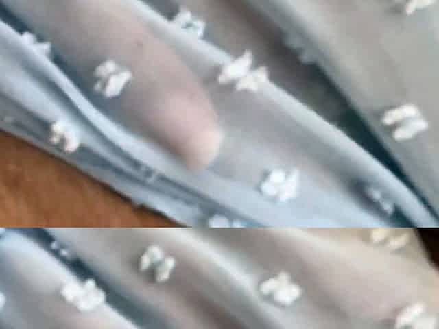 cute fake tits Emily Cheree Porn Exposed