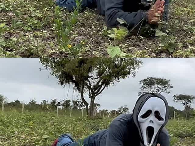 Ghostface Halloween Pumpkin Fuck