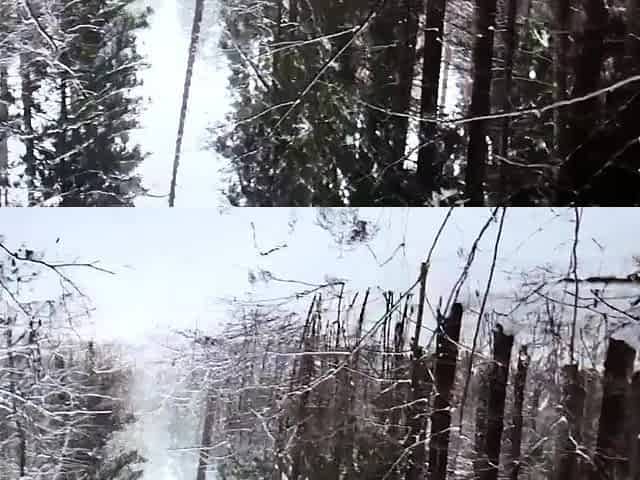 Fucked a Naked Bitch in the Winter Forest. Cum in her mouth