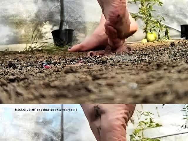 Cruel Claudia - Facebox dirty feet worship