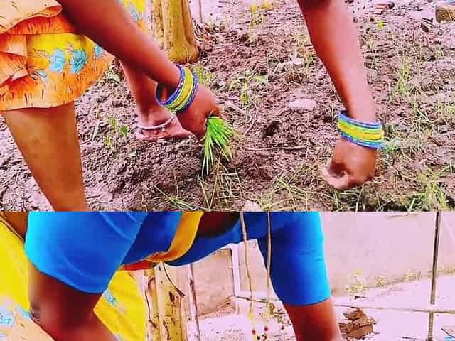 Villege aunty banging owner. Telugu messy talks.