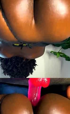 Black and Ebony 2