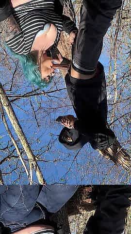 Met A Stranger in the Woods