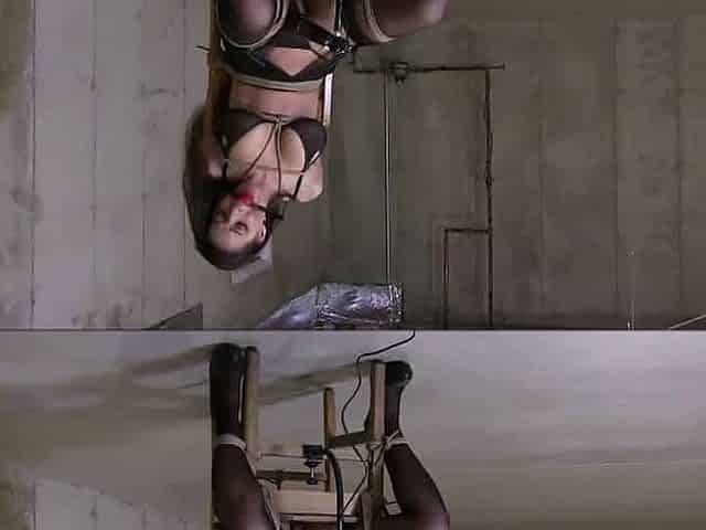orgasm