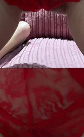 Close up Pussy