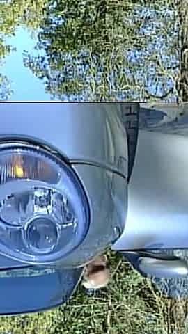Short Haired MILF Ass Fucked Hard and Cummed in Mouth by Huge Cock