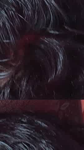 Romantic Sex. Brother-in-law Kissed Sister-in-law so Much That Sister-in-law Fucked Brother-in-law in Desi Style.