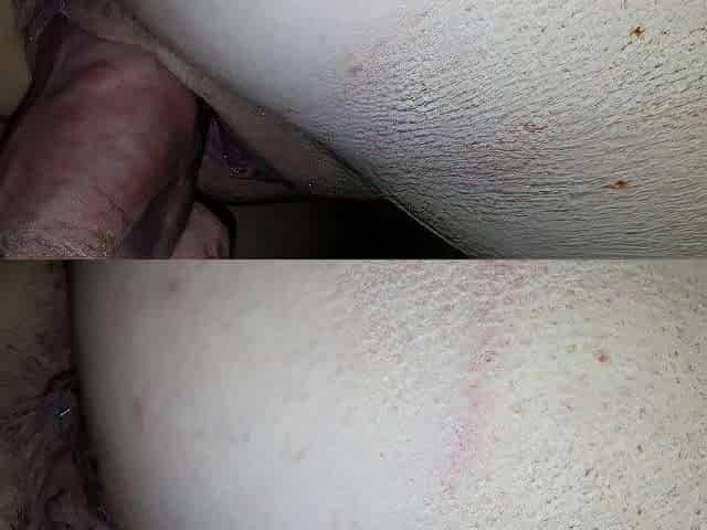 Real pair homemade bang #12 Doggy position