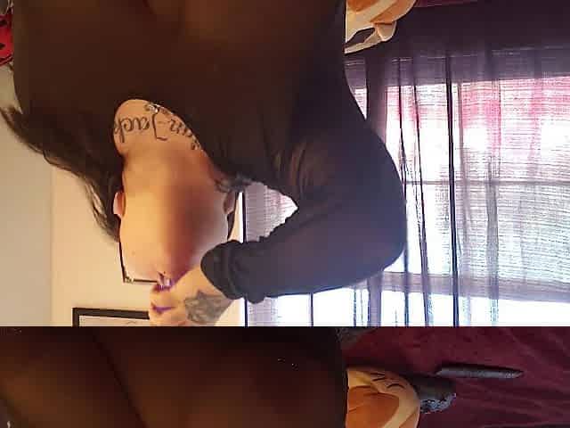 Rock doxy plays with her toys for daddys day