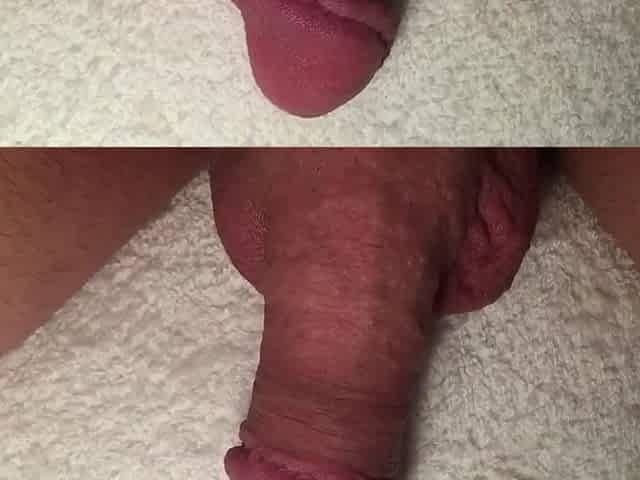 Softy penis afresh